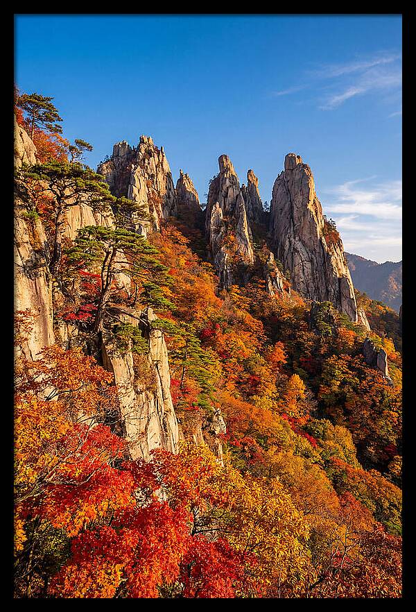Seoraksan Mountain In Autumn Glory