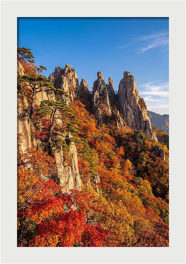 Seoraksan Mountain In Autumn Glory