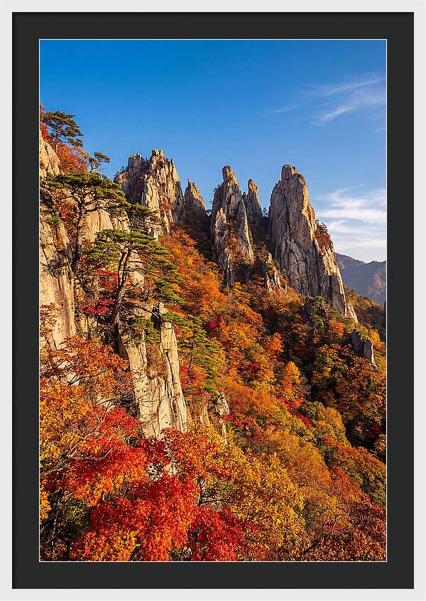 Seoraksan Mountain In Autumn Glory