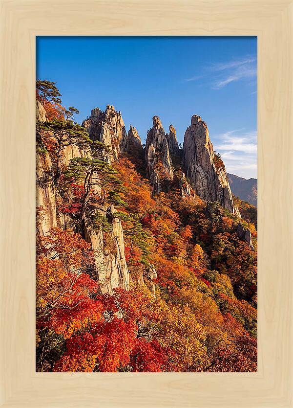 Seoraksan Mountain In Autumn Glory