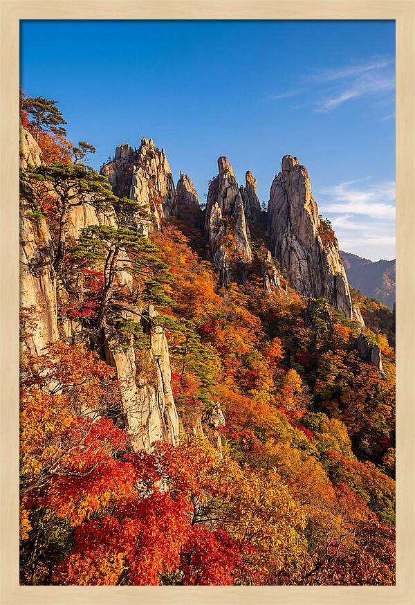 Seoraksan Mountain In Autumn Glory
