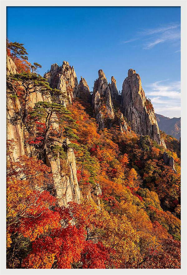 Seoraksan Mountain In Autumn Glory