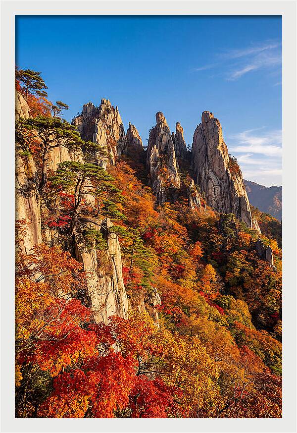 Seoraksan Mountain In Autumn Glory