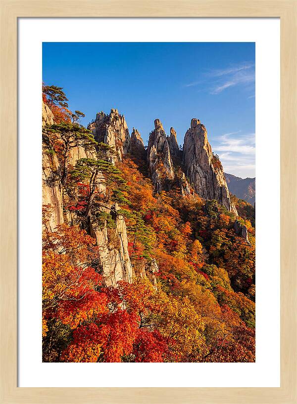 Seoraksan Mountain In Autumn Glory
