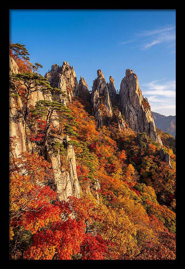 Seoraksan Mountain In Autumn Glory
