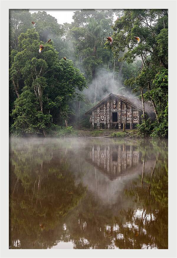Sepik River Morning Serenity