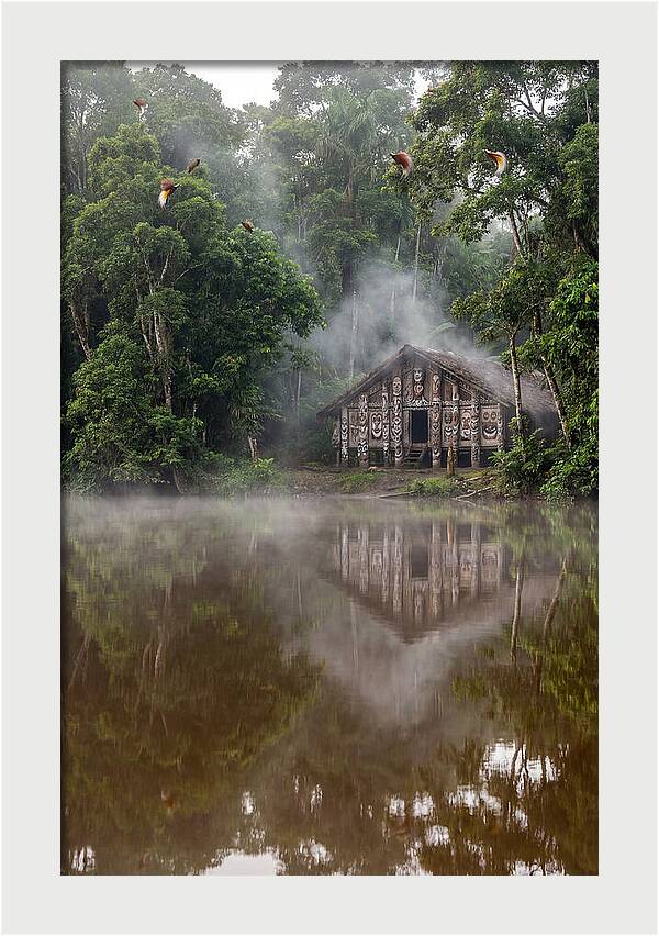 Sepik River Morning Serenity