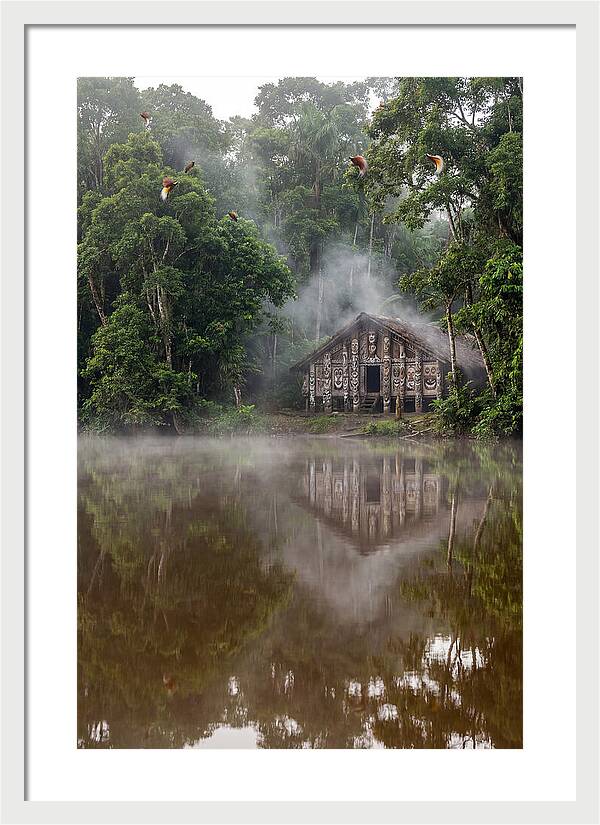 Sepik River Morning Serenity