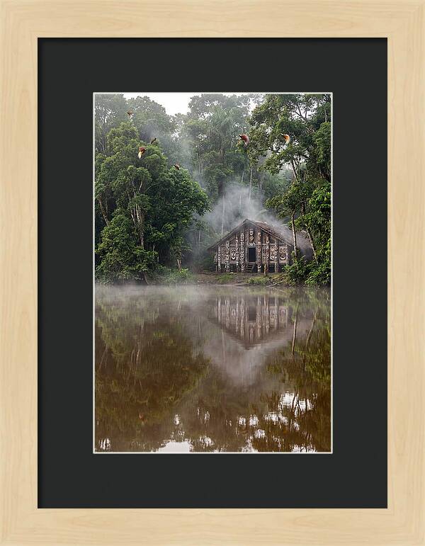 Sepik River Morning Serenity