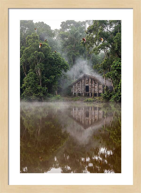 Sepik River Morning Serenity