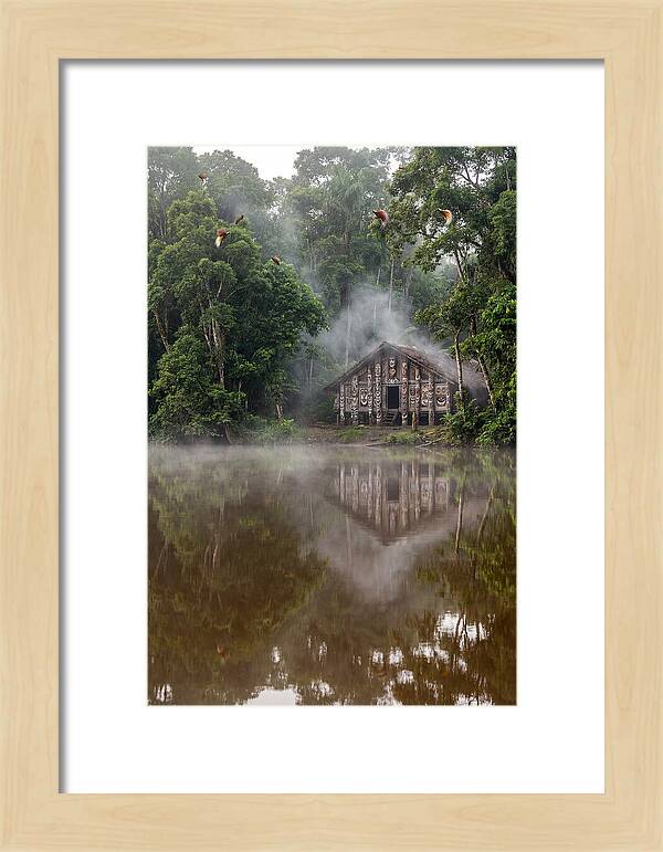 Sepik River Morning Serenity