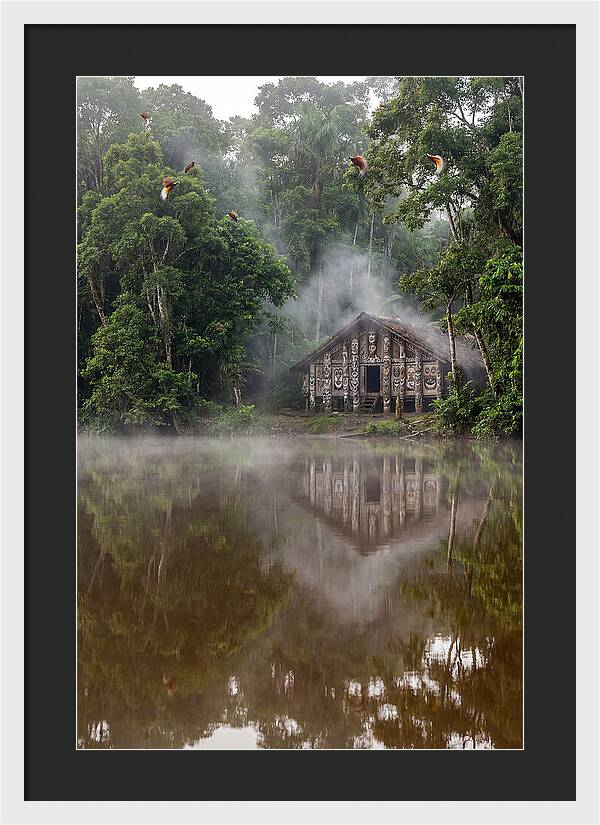 Sepik River Morning Serenity