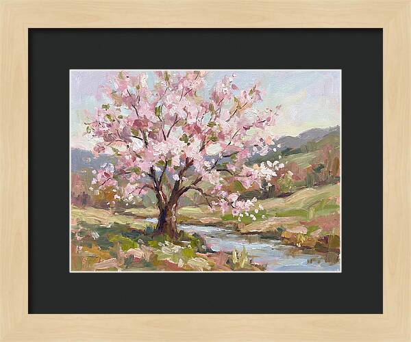 Serene Blossoms In Harmony