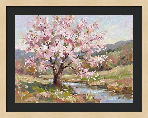 Serene Blossoms In Harmony