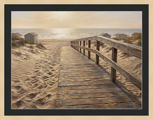 Serene Coastal Journey