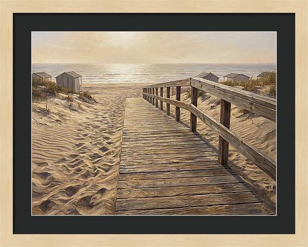 Serene Coastal Journey