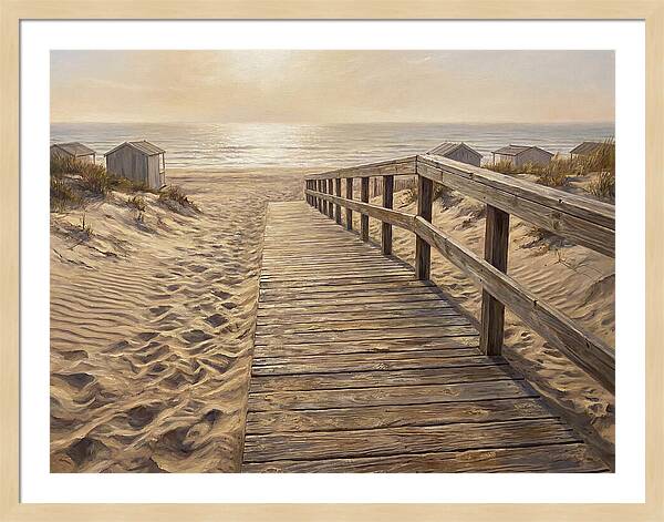 Serene Coastal Journey