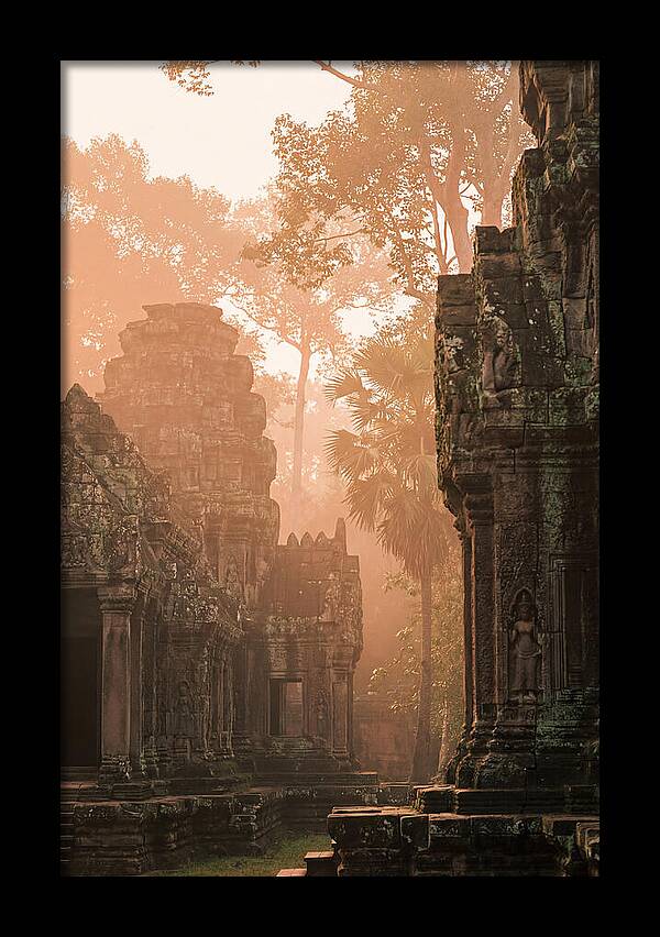 Serene Dawn At Angkor Wat