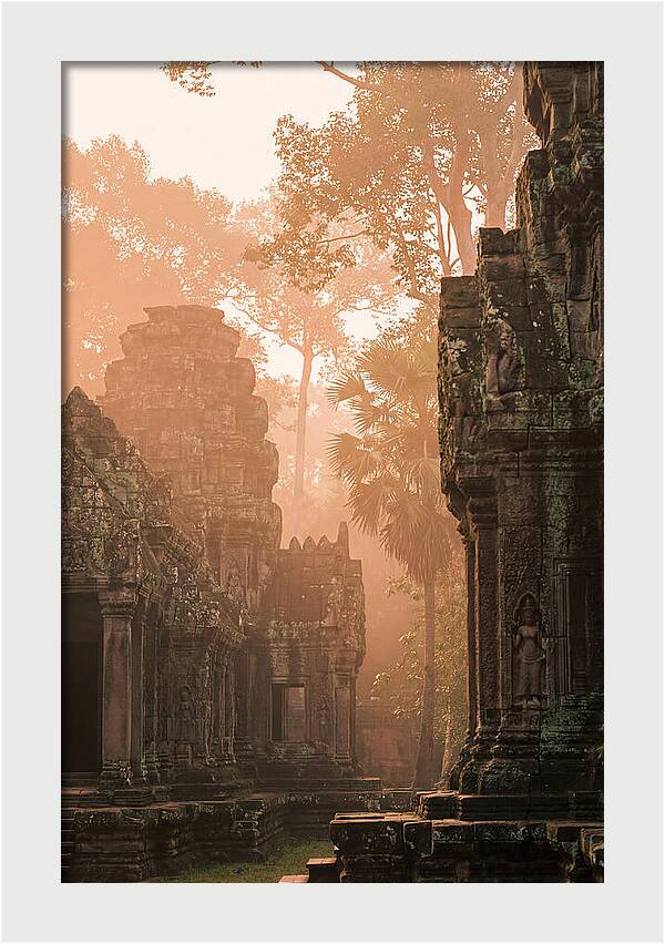 Serene Dawn At Angkor Wat