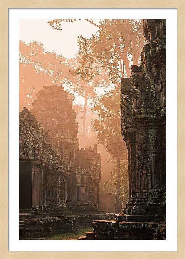 Serene Dawn At Angkor Wat