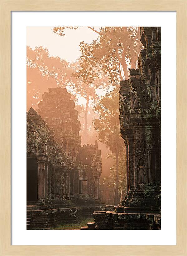 Serene Dawn At Angkor Wat