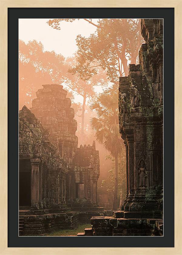 Serene Dawn At Angkor Wat