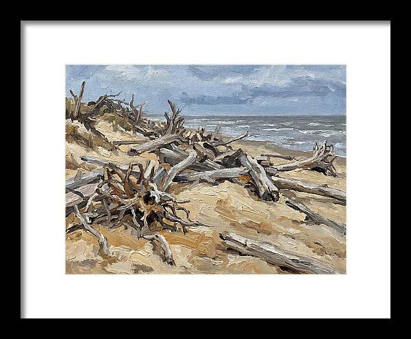 Serene Driftwood Coastline