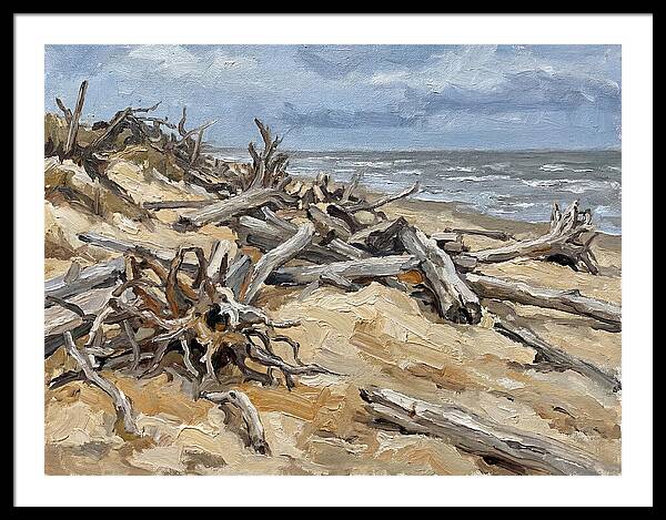 Serene Driftwood Coastline