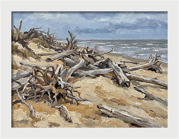 Serene Driftwood Coastline