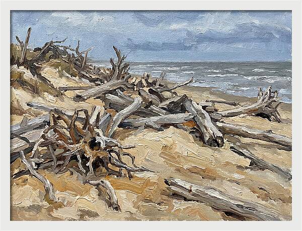 Serene Driftwood Coastline