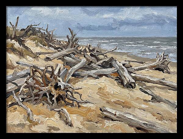 Serene Driftwood Coastline