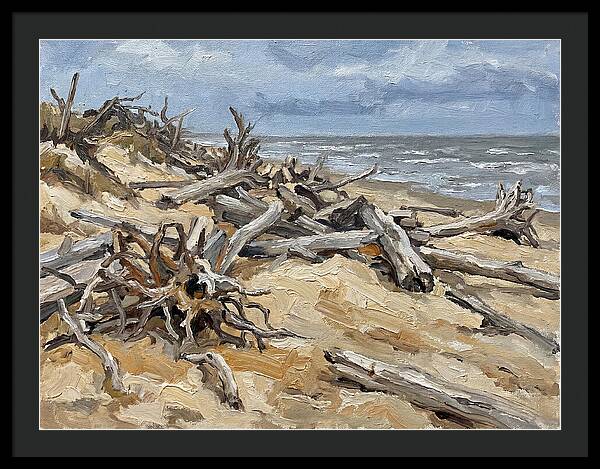 Serene Driftwood Coastline