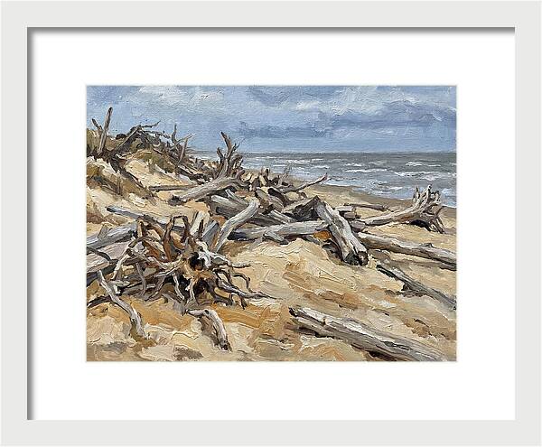 Serene Driftwood Coastline