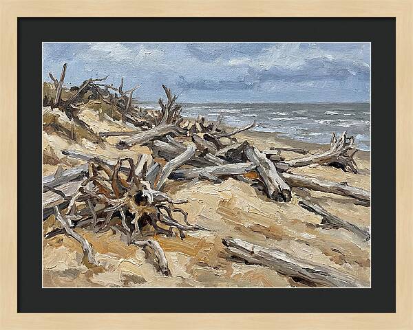 Serene Driftwood Coastline