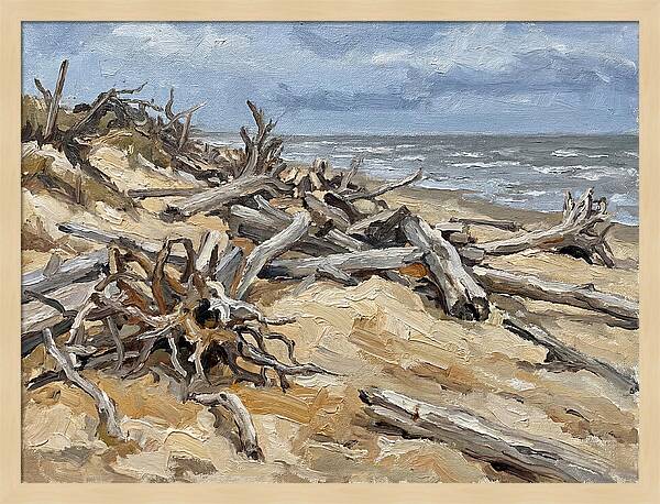 Serene Driftwood Coastline