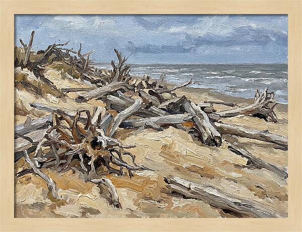 Serene Driftwood Coastline