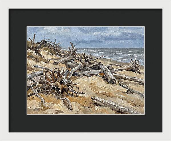 Serene Driftwood Coastline