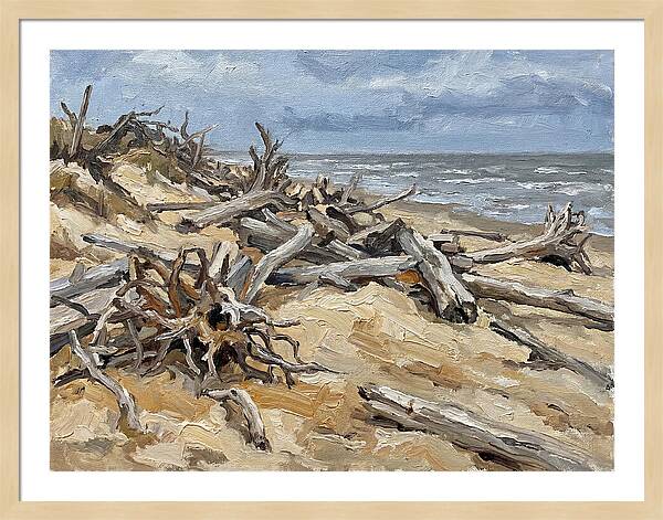 Serene Driftwood Coastline