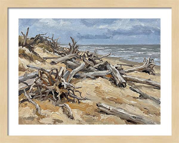 Serene Driftwood Coastline