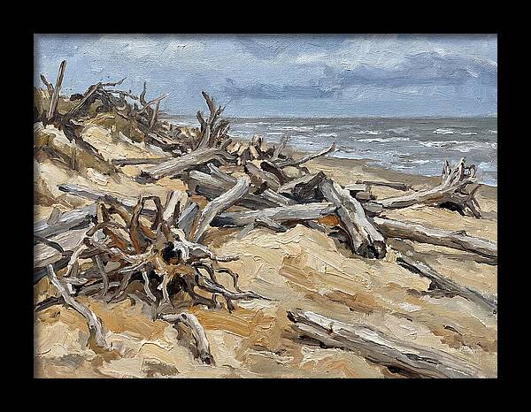 Serene Driftwood Coastline
