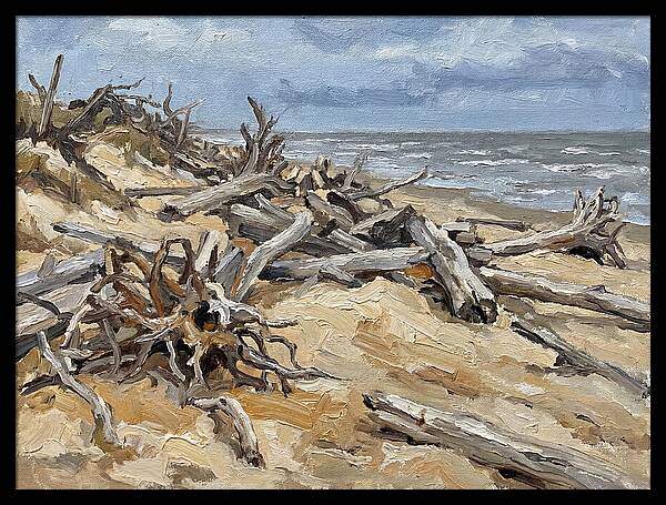 Serene Driftwood Coastline