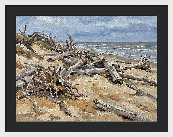 Serene Driftwood Coastline