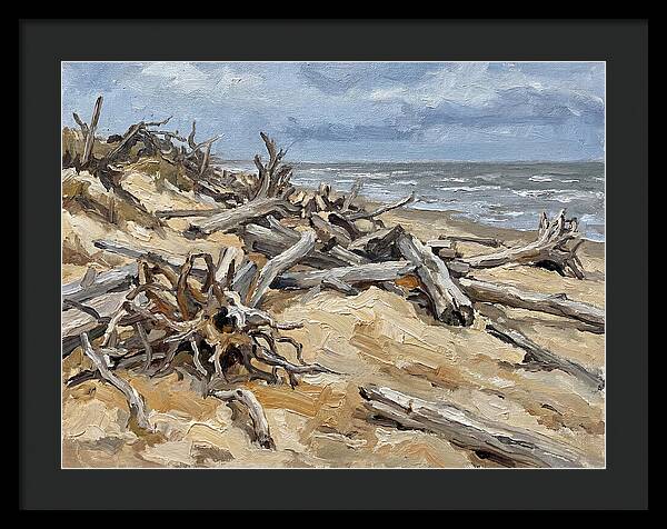 Serene Driftwood Coastline