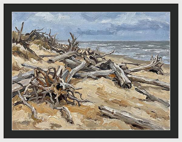 Serene Driftwood Coastline