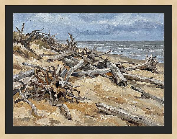 Serene Driftwood Coastline
