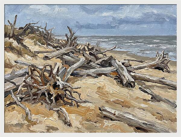 Serene Driftwood Coastline