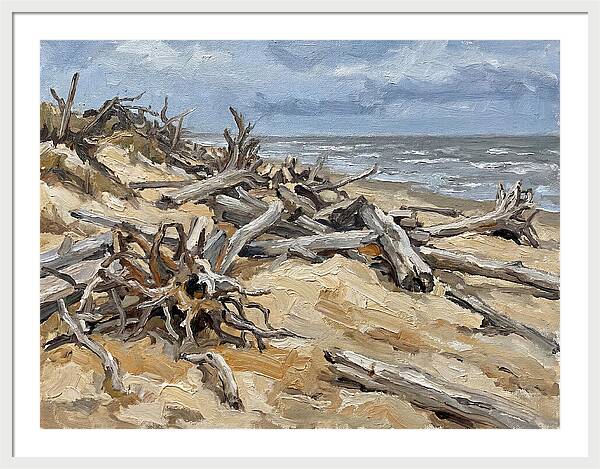 Serene Driftwood Coastline