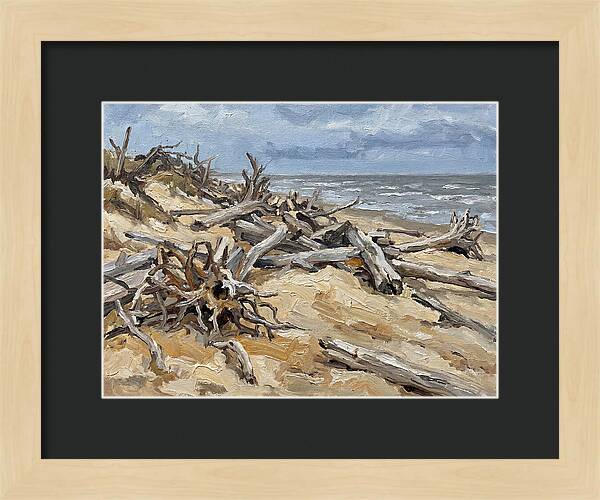 Serene Driftwood Coastline