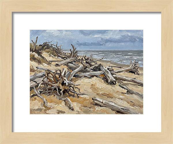 Serene Driftwood Coastline