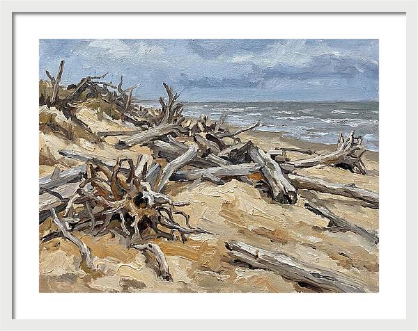 Serene Driftwood Coastline